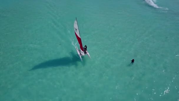 Paisagem aérea do paraíso praia turística vida selvagem por água azul e fundo arenoso branco — Vídeo de Stock