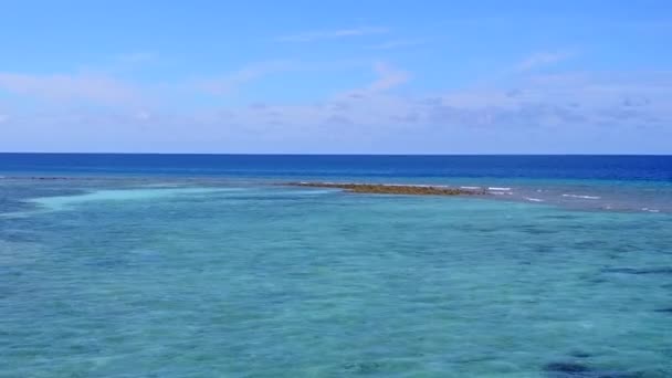 Drone aérien paysage marin vue sur la mer plage faune par mer bleue avec fond de sable blanc — Video