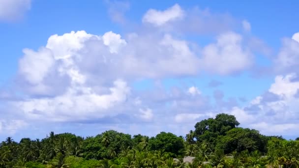 Aerial drone texture of relaxing tourist beach wildlife by clear lagoon and white sandy background — Stock Video