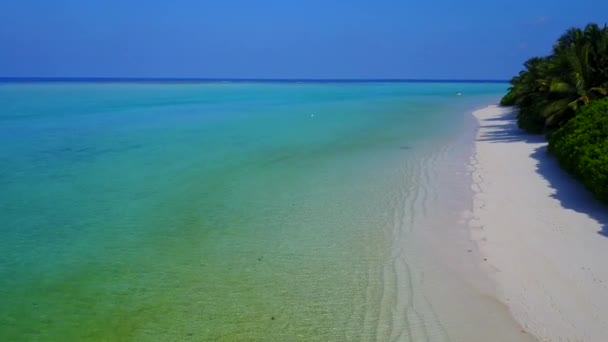 공중 드론이 하얀 모래사장을 배경으로 얕은 초호를 타고 낙원의 해 안을 여행하는 모습 — 비디오