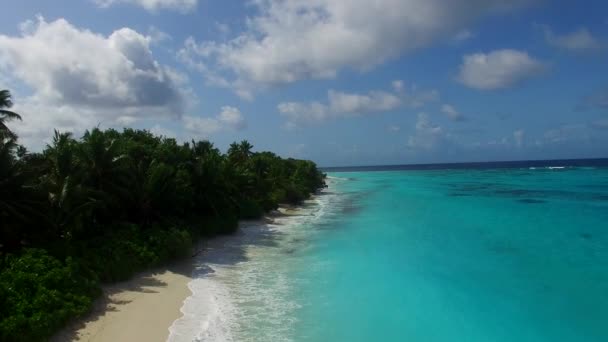 Paisagem aérea de tranquila vista mar praia vida selvagem por azul verde oceano e areia branca fundo — Vídeo de Stock