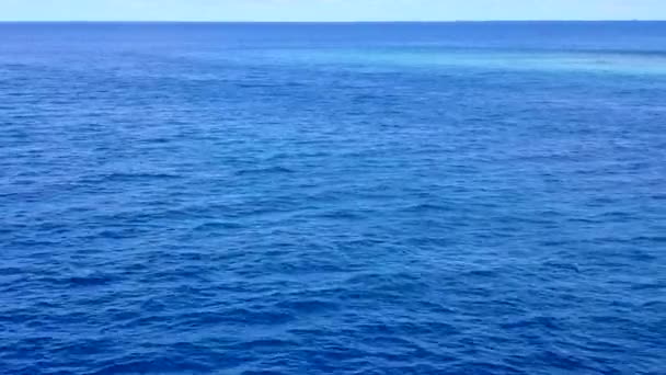 Drohne Ansicht Reise von Meeresküste Strand Tierwelt durch blau grüne Lagune mit hellem Sandhintergrund — Stockvideo