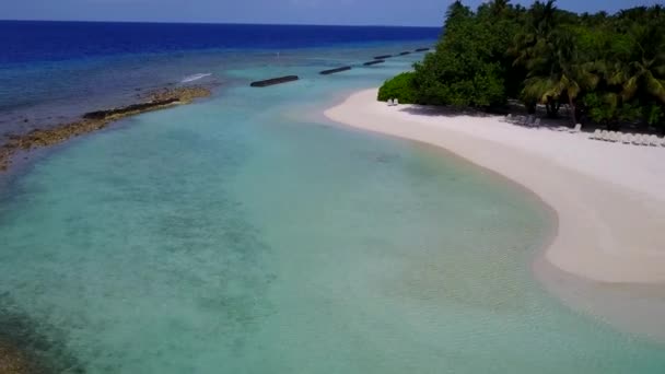 Aereo drone natura di perfetta spiaggia turistica fauna selvatica da laguna turchese e sfondo di sabbia bianca — Video Stock