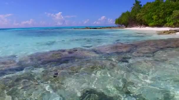 Lotnicza turystyka drona relaksującej linii brzegowej przerwa na plaży przez czyste morze i jasne, piaszczyste tło — Wideo stockowe