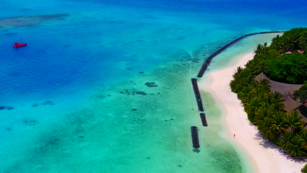Vista aerea cielo di lusso turistico spiaggia fauna selvatica da blu oceano e sfondo di sabbia bianca — Video Stock