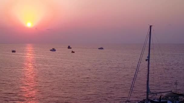 ภูมิทัศน์โดรนทางอากาศของชายหาดที่แปลกประหลาดสัตว์ป่าริมน้ําตื้นและพื้นหลังทรายสีขาว — วีดีโอสต็อก