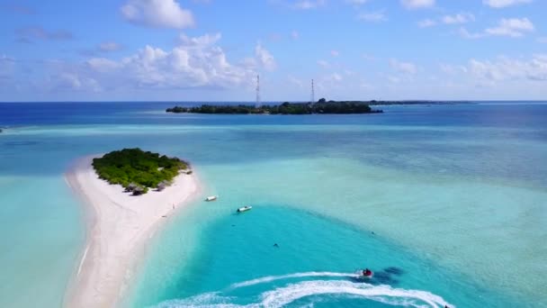 밝은 모래사장이 있는 푸른 물을 배경으로 완벽 한 섬 해변 야생생 물종 (種) 의 자연 — 비디오
