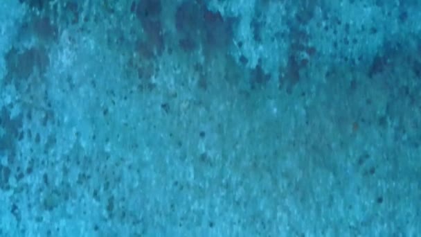 Céu aéreo drone de bela praia costa vida selvagem por lagoa azul com fundo de areia brilhante — Vídeo de Stock