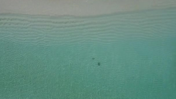 清澈的大海和清澈的沙滩背景下的热带海滨度假空中无人驾驶景观 — 图库视频影像