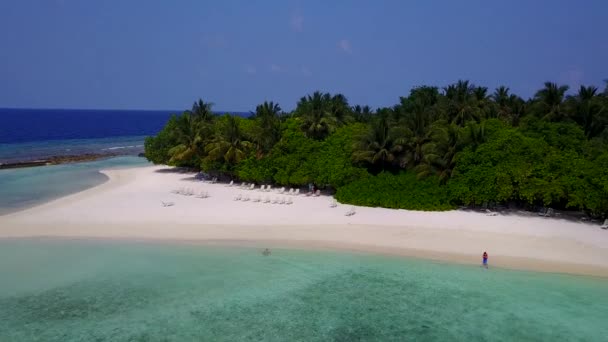 Drone résumé aérien de la faune marine de plage de rivage par lagune bleue aqueuse avec fond sablonneux blanc — Video