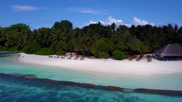 Viagem aérea do paraíso vista mar praia vida selvagem por aqua azul oceano e areia branca fundo — Vídeo de Stock