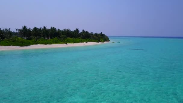 Paysage marin tropical vue sur la mer plage faune par océan bleu et fond sablonneux blanc — Video