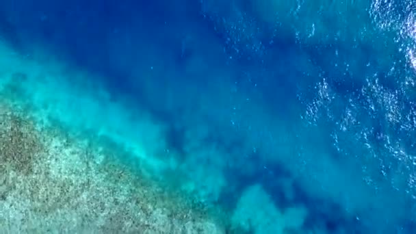 Drone nature of exotic shore beach journey by transparent sea and white sandy background — Stock Video