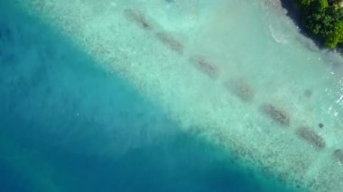 Kum arka planında mavi yeşil suyun yanında rahatlatıcı sahil yaban hayatının insansız hava aracı gökyüzü