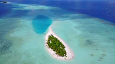 Mavi su ve beyaz kum arka planında rahatlatıcı deniz kıyısı yaban hayatının hava yolculuğu