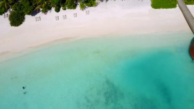 Güzel deniz kıyısı yaban hayatının insansız hava aracı gökyüzü. Temiz kum arka planına sahip mavi lagünün yanında.