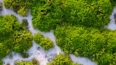 Deniz manzaralı, deniz manzaralı, deniz mavisi lagün ve beyaz kum arka planlı, havadan insansız hava aracı manzarası.