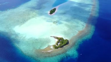 Cennet gökyüzü beyaz kum arka planlı, temiz okyanus kıyısındaki sahil yaban hayatı.