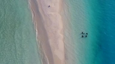 Mavi deniz kıyısında beyaz kumlu arka planda egzotik ada tatilinin insansız hava aracı soyutlaması