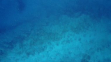 Turkuaz lagün ve beyaz kumlu arka planda sakin turizm turizmi