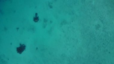 Mükemmel deniz kıyısı maceralarından oluşan, beyaz kum arka planlı mavi sularda uçan drone deniz manzarası.