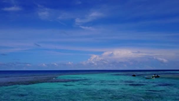 Luchtfoto drone textuur van tropische kust strand wilde dieren door transparante lagune met helder zand achtergrond — Stockvideo