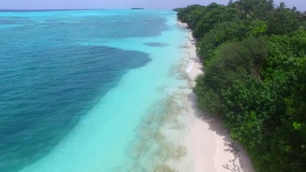 Drone view tourism of idyllic island beach time by blue green ocean with white sandy background — Stock Video