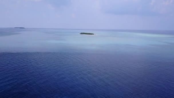 Luchtfoto zeegezicht van prachtige kust strand flora en fauna door blauwe oceaan met witte zandachtergrond — Stockvideo