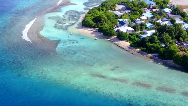 Vista aérea paisagem do paraíso vista mar praia vida selvagem por mar azul e fundo arenoso limpo — Vídeo de Stock