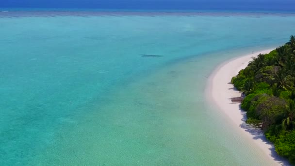 Mavi lagün ve beyaz kum arka planındaki egzotik sahil yaban hayatının insansız hava aracı görüntüsü — Stok video