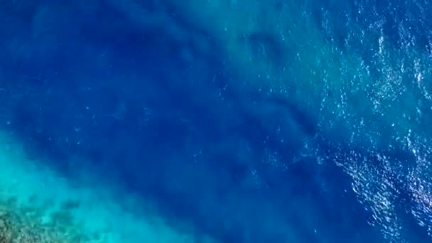 Aerial abstract of paradise tourist beach wildlife by turquoise ocean and white sand background — Stock Video