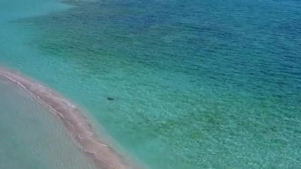 Aerial texture of tropical seashore beach lifestyle by blue lagoon with white sandy background — Stock Video