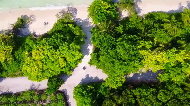 Tropikal tatil beldesi sahil saatinin hava drone deniz manzarası beyaz kum arka planlı sığ su tarafından — Stok video