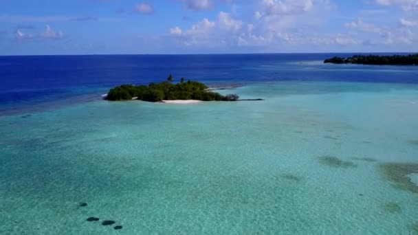 Aerial drone seascape of perfect resort beach trip by aqua blue ocean and clean sand background — Stock Video