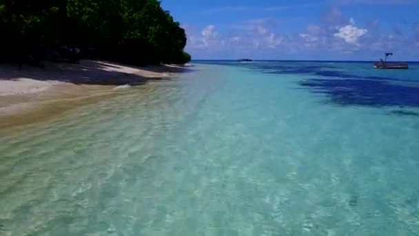 浅い海と白い砂の背景によって海洋海岸のビーチの野生生物の無人航空機の性質 — ストック動画