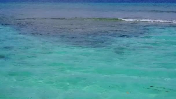 Drohne Luftbild der perfekten Küste Strand Tierwelt von aqua blauen Ozean mit weißem Sandhintergrund — Stockvideo