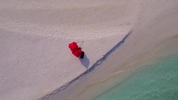 Drone natur lugn lagun strand djurliv av blått hav med vit sand bakgrund — Stockvideo