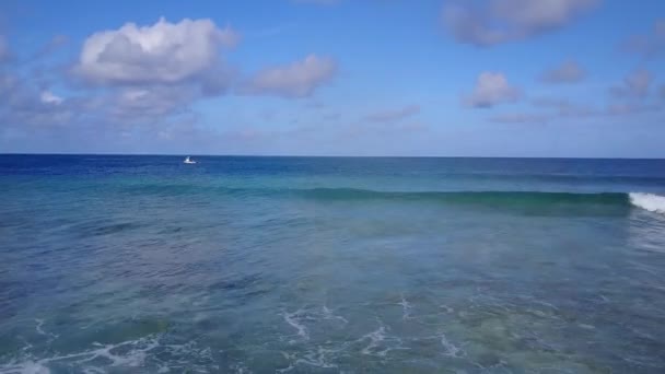 완벽 한 초호 해변의 야생 동물의 공중 질감과 깨끗 한 모래 배경을 가진 푸른 바다 — 비디오