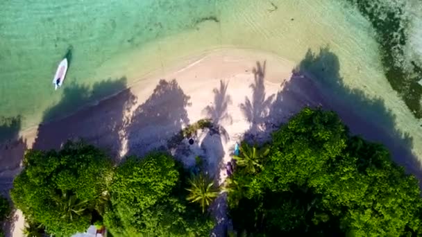 Vista aerea natura del paradiso isola spiaggia fauna selvatica dal mare blu con sfondo di sabbia bianca — Video Stock