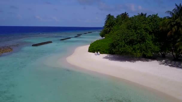 하얀 모래사장이 있는 푸른 바다 옆의 호화 로운 섬 야생 동물로 이루어진 드론 — 비디오