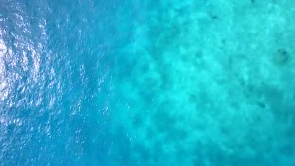 Drone nature aérienne de paradis baie plage faune par lagon bleu avec fond sablonneux propre — Video