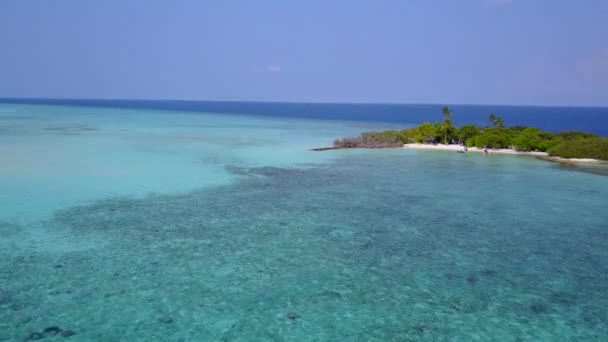 Drone view landskap lugn lagun strand djurliv av turkos lagun och vit sand bakgrund — Stockvideo