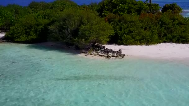 Drone landschap van prachtige kustlijn strand flora en fauna door blauwe zee met wit zand achtergrond — Stockvideo