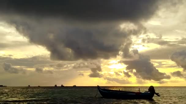 Vue sur drone nature de la faune de plage touristique tropicale par mer turquoise avec fond sablonneux blanc — Video