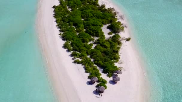 Lufttourismus von entspannten Strandfauna durch blaue Lagune und hellen Sandhintergrund — Stockvideo