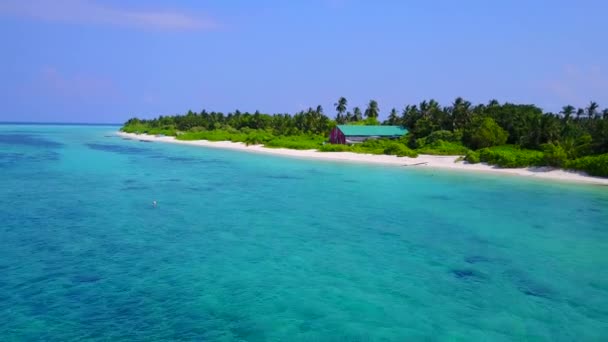 Drone landschap van mariene lagune strand wilde dieren door blauwe oceaan en wit zand achtergrond — Stockvideo