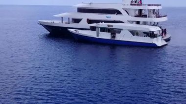 Berrak okyanus kıyısındaki güneşli deniz kıyısı gezisi ve palmiyelerin yakınındaki beyaz kum arka planı.