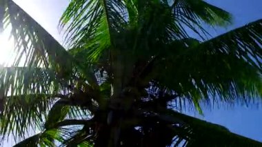 İHA görüntüsü, deniz mavisi okyanusun beyaz kum zeminli huzurlu sahil macerası.