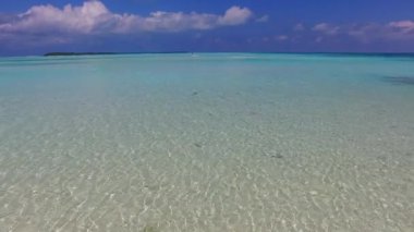 Cennet tatil beldesinin geniş açılı dokusu şeffaf su ve palmiyelerin yakınındaki temiz kum arka planında.