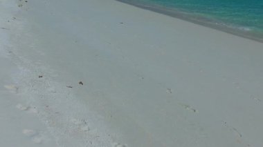 Güneş ışığı altında parlak kumlu arka planda sığ lagünün yanındaki tropikal deniz manzaralı plaj manzarasını kapatın.